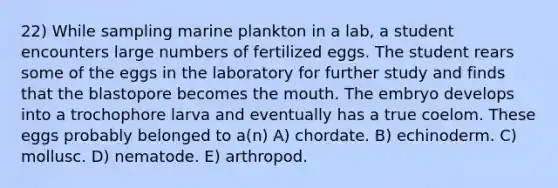 22) While sampling marine plankton in a lab, a student encounters large numbers of fertilized eggs. The student rears some of the eggs in the laboratory for further study and finds that the blastopore becomes the mouth. The embryo develops into a trochophore larva and eventually has a true coelom. These eggs probably belonged to a(n) A) chordate. B) echinoderm. C) mollusc. D) nematode. E) arthropod.