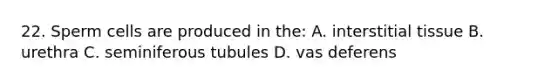22. Sperm cells are produced in the: A. interstitial tissue B. urethra C. seminiferous tubules D. vas deferens