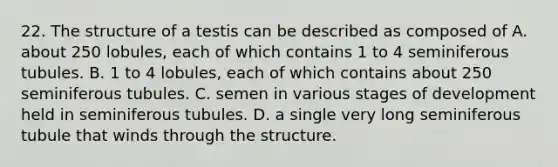 22. The structure of a testis can be described as composed of A. about 250 lobules, each of which contains 1 to 4 seminiferous tubules. B. 1 to 4 lobules, each of which contains about 250 seminiferous tubules. C. semen in various stages of development held in seminiferous tubules. D. a single very long seminiferous tubule that winds through the structure.