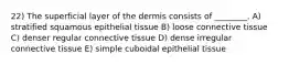 22) The superficial layer of the dermis consists of ________. A) stratified squamous epithelial tissue B) loose connective tissue C) denser regular connective tissue D) dense irregular connective tissue E) simple cuboidal epithelial tissue