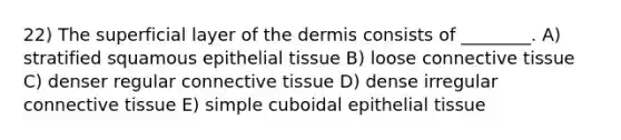 22) The superficial layer of the dermis consists of ________. A) stratified squamous epithelial tissue B) loose connective tissue C) denser regular connective tissue D) dense irregular connective tissue E) simple cuboidal epithelial tissue