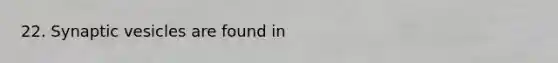 22. Synaptic vesicles are found in