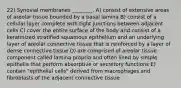 22) Synovial membranes ________. A) consist of extensive areas of areolar tissue bounded by a basal lamina B) consist of a cellular layer complete with tight junctions between adjacent cells C) cover the entire surface of the body and consist of a keratinized stratified squamous epithelium and an underlying layer of areolar connective tissue that is reinforced by a layer of dense connective tissue D) are comprised of areolar tissue component called lamina propria and often lined by simple epithelia that perform absorptive or secretory functions E) contain "epithelial cells" derived from macrophages and fibroblasts of the adjacent connective tissue