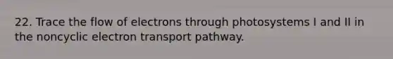 22. Trace the flow of electrons through photosystems I and II in the noncyclic electron transport pathway.