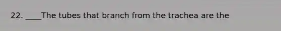 22. ____The tubes that branch from the trachea are the