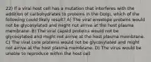 22) If a viral host cell has a mutation that interferes with the addition of carbohydrates to proteins in the Golgi, which of the following could likely result? A) The viral envelope proteins would not be glycosylated and might not arrive at the host plasma membrane. B) The viral capsid proteins would not be glycosylated and might not arrive at the host plasma membrane. C) The viral core proteins would not be glycosylated and might not arrive at the host plasma membrane. D) The virus would be unable to reproduce within the host cell