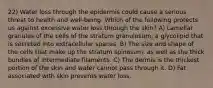 22) Water loss through the epidermis could cause a serious threat to health and well-being. Which of the following protects us against excessive water loss through the skin? A) Lamellar granules of the cells of the stratum granulosum, a glycolipid that is secreted into extracellular spaces. B) The size and shape of the cells that make up the stratum spinosum, as well as the thick bundles of intermediate filaments. C) The dermis is the thickest portion of the skin and water cannot pass through it. D) Fat associated with skin prevents water loss.