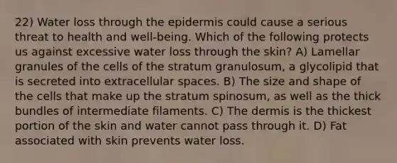 22) Water loss through <a href='https://www.questionai.com/knowledge/kBFgQMpq6s-the-epidermis' class='anchor-knowledge'>the epidermis</a> could cause a serious threat to health and well-being. Which of the following protects us against excessive water loss through the skin? A) Lamellar granules of the cells of the stratum granulosum, a glycolipid that is secreted into extracellular spaces. B) The size and shape of the cells that make up the stratum spinosum, as well as the thick bundles of intermediate filaments. C) <a href='https://www.questionai.com/knowledge/kEsXbG6AwS-the-dermis' class='anchor-knowledge'>the dermis</a> is the thickest portion of the skin and water cannot pass through it. D) Fat associated with skin prevents water loss.