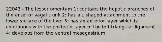 22043 - The lesser omentum 1: contains the hepatic branches of the anterior vagal trunk 2: has a L shaped attachment to the lower surface of the liver 3: has an anterior layer which is continuous with the posterior layer of the left triangular ligament 4: develops from the ventral mesogastrium