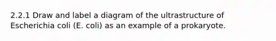 2.2.1 Draw and label a diagram of the ultrastructure of Escherichia coli (E. coli) as an example of a prokaryote.