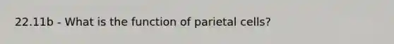 22.11b - What is the function of parietal cells?