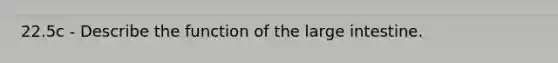 22.5c - Describe the function of the large intestine.