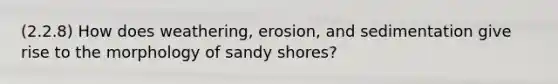 (2.2.8) How does weathering, erosion, and sedimentation give rise to the morphology of sandy shores?