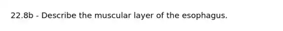 22.8b - Describe the muscular layer of the esophagus.