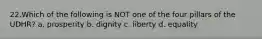 22.Which of the following is NOT one of the four pillars of the UDHR? a. prosperity b. dignity c. liberty d. equality