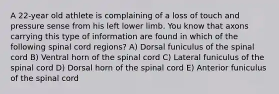 A 22-year old athlete is complaining of a loss of touch and pressure sense from his left lower limb. You know that axons carrying this type of information are found in which of the following spinal cord regions? A) Dorsal funiculus of the spinal cord B) Ventral horn of the spinal cord C) Lateral funiculus of the spinal cord D) Dorsal horn of the spinal cord E) Anterior funiculus of the spinal cord