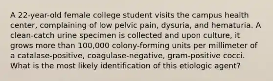 A 22-year-old female college student visits the campus health center, complaining of low pelvic pain, dysuria, and hematuria. A clean-catch urine specimen is collected and upon culture, it grows more than 100,000 colony-forming units per millimeter of a catalase-positive, coagulase-negative, gram-positive cocci. What is the most likely identification of this etiologic agent?