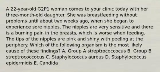 A 22-year-old G2P1 woman comes to your clinic today with her three-month-old daughter. She was breastfeeding without problems until about two weeks ago, when she began to experience sore nipples. The nipples are very sensitive and there is a burning pain in the breasts, which is worse when feeding. The tips of the nipples are pink and shiny with peeling at the periphery. Which of the following organism is the most likely cause of these findings? A. Group A streptrococcocus B. Group B streptrococcocus C. Staphylococcus aureus D. Staphylococcus epidermidis E. Candida