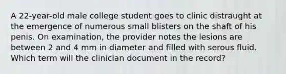 A 22-year-old male college student goes to clinic distraught at the emergence of numerous small blisters on the shaft of his penis. On examination, the provider notes the lesions are between 2 and 4 mm in diameter and filled with serous fluid. Which term will the clinician document in the record?