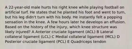 A 22-year-old male hurts his right knee while playing football on artificial turf. He states that he planted his foot and went to turn, but his leg didn't turn with his body. He instantly felt a popping sensation in the knee. A few hours later he develops an effusion. Based on the history of the injury, which knee structure was likely injured? A Anterior cruciate ligament (ACL) B Lateral collateral ligament (LCL) C Medial collateral ligament (MCL) D Posterior cruciate ligament (PCL) E Quadriceps tendon