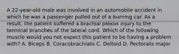 A 22-year-old male was involved in an automobile accident in which he was a passenger pulled out of a burning car. As a result, the patient suffered a brachial plexus injury to the terminal branches of the lateral cord. Which of the following muscle would you not expect this patient to be having a problem with? A. Biceps B. Coracobrachialis C. Deltoid D. Pectoralis major