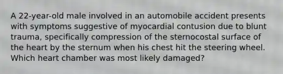 A 22-year-old male involved in an automobile accident presents with symptoms suggestive of myocardial contusion due to blunt trauma, specifically compression of the sternocostal surface of <a href='https://www.questionai.com/knowledge/kya8ocqc6o-the-heart' class='anchor-knowledge'>the heart</a> by the sternum when his chest hit the steering wheel. Which heart chamber was most likely damaged?