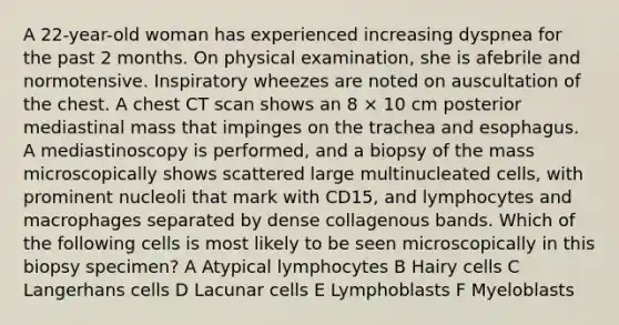 A 22-year-old woman has experienced increasing dyspnea for the past 2 months. On physical examination, she is afebrile and normotensive. Inspiratory wheezes are noted on auscultation of the chest. A chest CT scan shows an 8 × 10 cm posterior mediastinal mass that impinges on the trachea and esophagus. A mediastinoscopy is performed, and a biopsy of the mass microscopically shows scattered large multinucleated cells, with prominent nucleoli that mark with CD15, and lymphocytes and macrophages separated by dense collagenous bands. Which of the following cells is most likely to be seen microscopically in this biopsy specimen? A Atypical lymphocytes B Hairy cells C Langerhans cells D Lacunar cells E Lymphoblasts F Myeloblasts