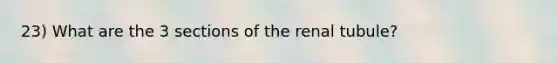 23) What are the 3 sections of the renal tubule?