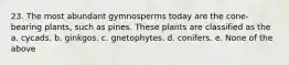 23. The most abundant gymnosperms today are the cone-bearing plants, such as pines. These plants are classified as the a. cycads. b. ginkgos. c. gnetophytes. d. conifers. e. None of the above