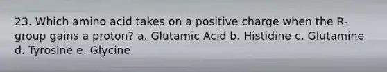 23. Which amino acid takes on a positive charge when the R-group gains a proton? a. Glutamic Acid b. Histidine c. Glutamine d. Tyrosine e. Glycine