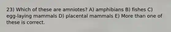 23) Which of these are amniotes? A) amphibians B) fishes C) egg-laying mammals D) placental mammals E) More than one of these is correct.