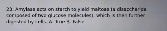 23. Amylase acts on starch to yield maltose (a disaccharide composed of two glucose molecules), which is then further digested by cells. A. True B. False