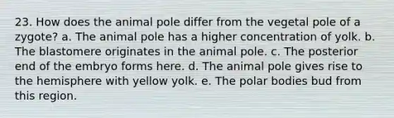 23. How does the animal pole differ from the vegetal pole of a zygote? a. The animal pole has a higher concentration of yolk. b. The blastomere originates in the animal pole. c. The posterior end of the embryo forms here. d. The animal pole gives rise to the hemisphere with yellow yolk. e. The polar bodies bud from this region.