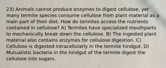 23) Animals cannot produce enzymes to digest cellulose, yet many termite species consume cellulose from plant material as a main part of their diet. How do termites access the nutrients contained in cellulose? A) Termites have specialized mouthparts to mechanically break down the cellulose. B) The ingested plant material also contains enzymes for cellulose digestion. C) Cellulose is digested intracellularly in the termite hindgut. D) Mutualistic bacteria in the hindgut of the termite digest the cellulose into sugars.