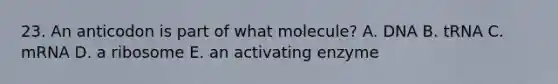 23. An anticodon is part of what molecule? A. DNA B. tRNA C. mRNA D. a ribosome E. an activating enzyme