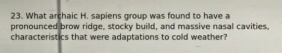 23. What archaic H. sapiens group was found to have a pronounced brow ridge, stocky build, and massive nasal cavities, characteristics that were adaptations to cold weather?