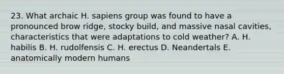 23. What archaic H. sapiens group was found to have a pronounced brow ridge, stocky build, and massive nasal cavities, characteristics that were adaptations to cold weather? A. H. habilis B. H. rudolfensis C. H. erectus D. Neandertals E. anatomically modern humans