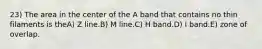 23) The area in the center of the A band that contains no thin filaments is theA) Z line.B) M line.C) H band.D) I band.E) zone of overlap.