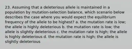 23. Assuming that a deleterious allele is maintained in a population by mutation-selection balance, which scenario below describes the case where you would expect the equilibrium frequency of the allele to be highest? a. the mutation rate is low; the allele is highly deleterious b. the mutation rate is low; the allele is slightly deleterious c. the mutation rate is high; the allele is highly deleterious d. the mutation rate is high; the allele is slightly deleterious