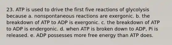 23. ATP is used to drive the first five reactions of glycolysis because a. nonspontaneous reactions are exergonic. b. the breakdown of ATP to ADP is exergonic. c. the breakdown of ATP to ADP is endergonic. d. when ATP is broken down to ADP, Pi is released. e. ADP possesses more free energy than ATP does.