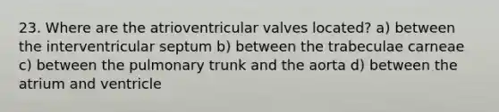 23. Where are the atrioventricular valves located? a) between the interventricular septum b) between the trabeculae carneae c) between the pulmonary trunk and the aorta d) between the atrium and ventricle