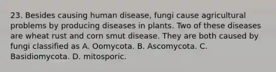 23. Besides causing human disease, fungi cause agricultural problems by producing diseases in plants. Two of these diseases are wheat rust and corn smut disease. They are both caused by fungi classified as A. Oomycota. B. Ascomycota. C. Basidiomycota. D. mitosporic.