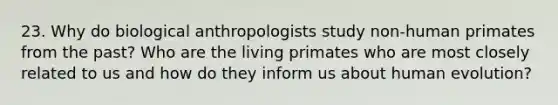 23. Why do biological anthropologists study non-human primates from the past? Who are the living primates who are most closely related to us and how do they inform us about human evolution?