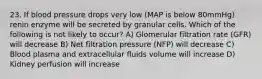 23. If blood pressure drops very low (MAP is below 80mmHg) renin enzyme will be secreted by granular cells. Which of the following is not likely to occur? A) Glomerular filtration rate (GFR) will decrease B) Net filtration pressure (NFP) will decrease C) Blood plasma and extracellular fluids volume will increase D) Kidney perfusion will increase