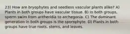 23) How are bryophytes and seedless vascular plants alike? A) Plants in both groups have vascular tissue. B) In both groups, sperm swim from antheridia to archegonia. C) The dominant generation in both groups is the sporophyte. D) Plants in both groups have true roots, stems, and leaves.