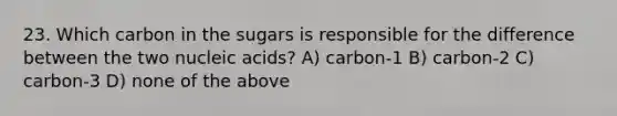 23. Which carbon in the sugars is responsible for the difference between the two nucleic acids? A) carbon-1 B) carbon-2 C) carbon-3 D) none of the above