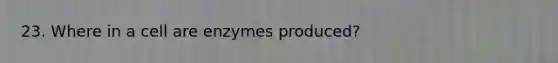 23. Where in a cell are enzymes produced?