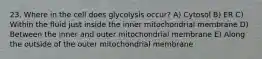 23. Where in the cell does glycolysis occur? A) Cytosol B) ER C) Within the fluid just inside the inner mitochondrial membrane D) Between the inner and outer mitochondrial membrane E) Along the outside of the outer mitochondrial membrane