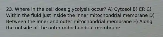 23. Where in the cell does glycolysis occur? A) Cytosol B) ER C) Within the fluid just inside the inner mitochondrial membrane D) Between the inner and outer mitochondrial membrane E) Along the outside of the outer mitochondrial membrane