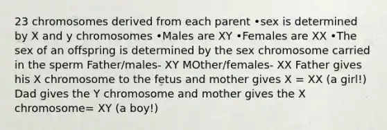 23 chromosomes derived from each parent •sex is determined by X and y chromosomes •Males are XY •Females are XX •The sex of an offspring is determined by the sex chromosome carried in the sperm Father/males- XY MOther/females- XX Father gives his X chromosome to the fetus and mother gives X = XX (a girl!) Dad gives the Y chromosome and mother gives the X chromosome= XY (a boy!)